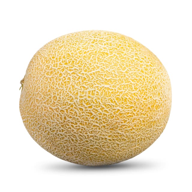 Melón Galia