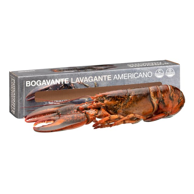 Bogavante americano mediano crudo Hacendado