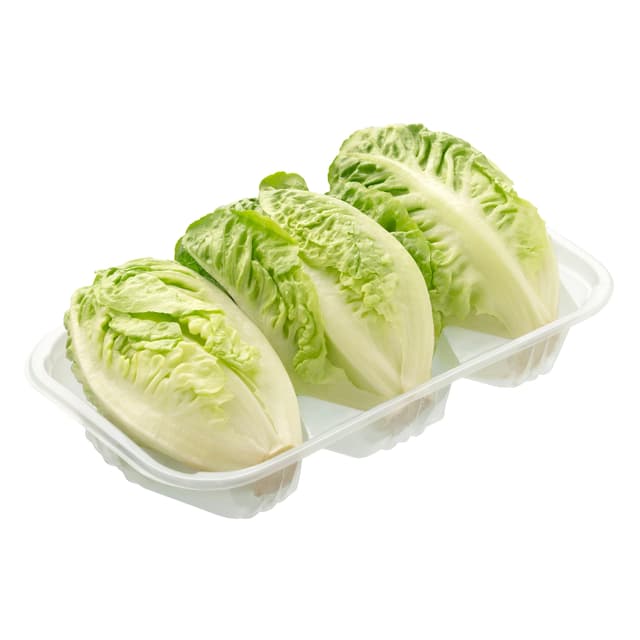 Cogollos de lechuga